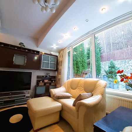 Marble Villa: Luxury Estate - Central But Intimate Sinaia Zewnętrze zdjęcie