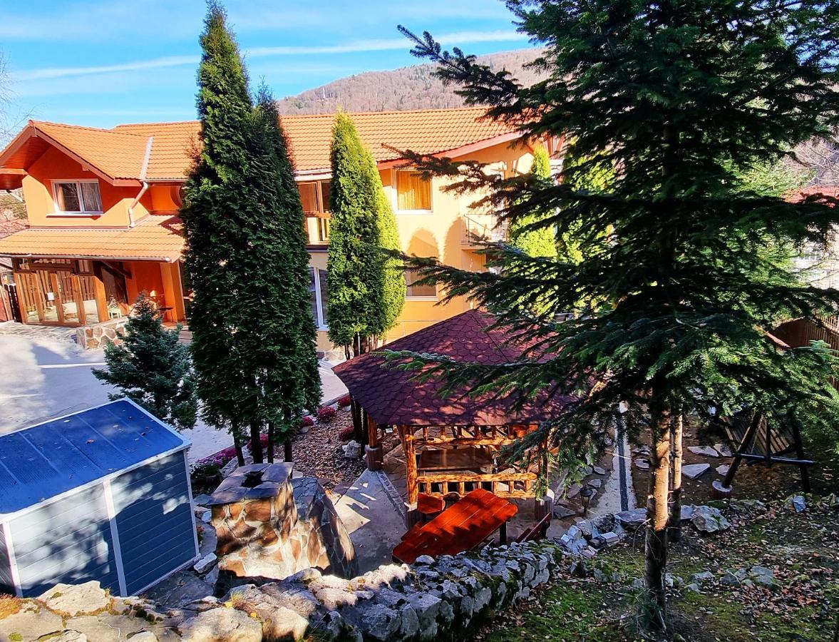 Marble Villa: Luxury Estate - Central But Intimate Sinaia Zewnętrze zdjęcie