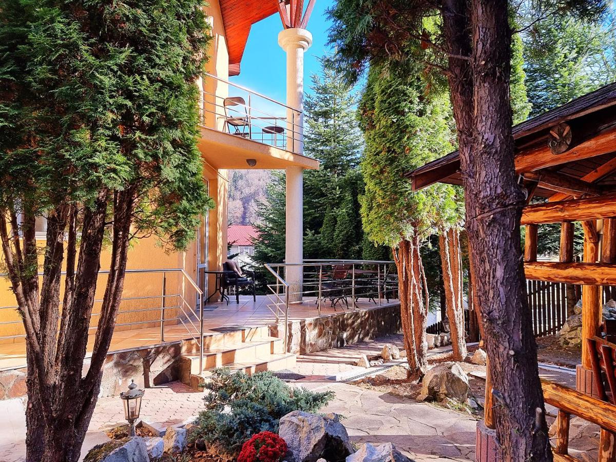 Marble Villa: Luxury Estate - Central But Intimate Sinaia Zewnętrze zdjęcie
