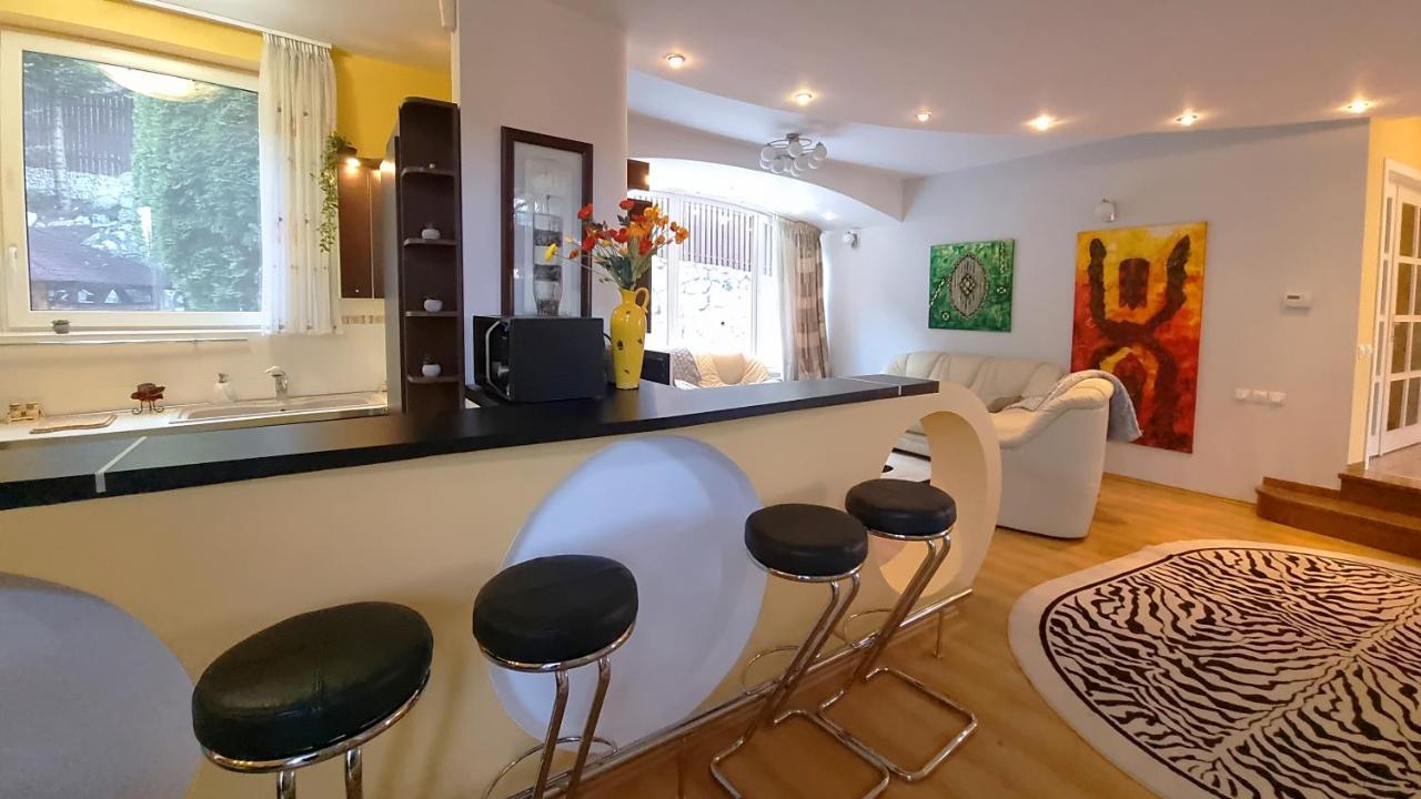 Marble Villa: Luxury Estate - Central But Intimate Sinaia Zewnętrze zdjęcie