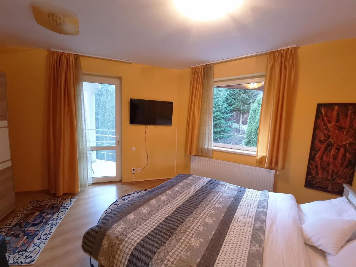 Marble Villa: Luxury Estate - Central But Intimate Sinaia Zewnętrze zdjęcie
