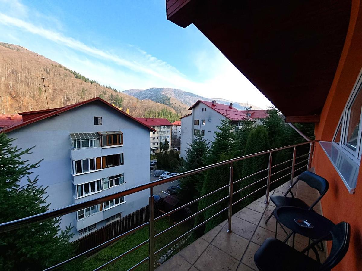 Marble Villa: Luxury Estate - Central But Intimate Sinaia Zewnętrze zdjęcie