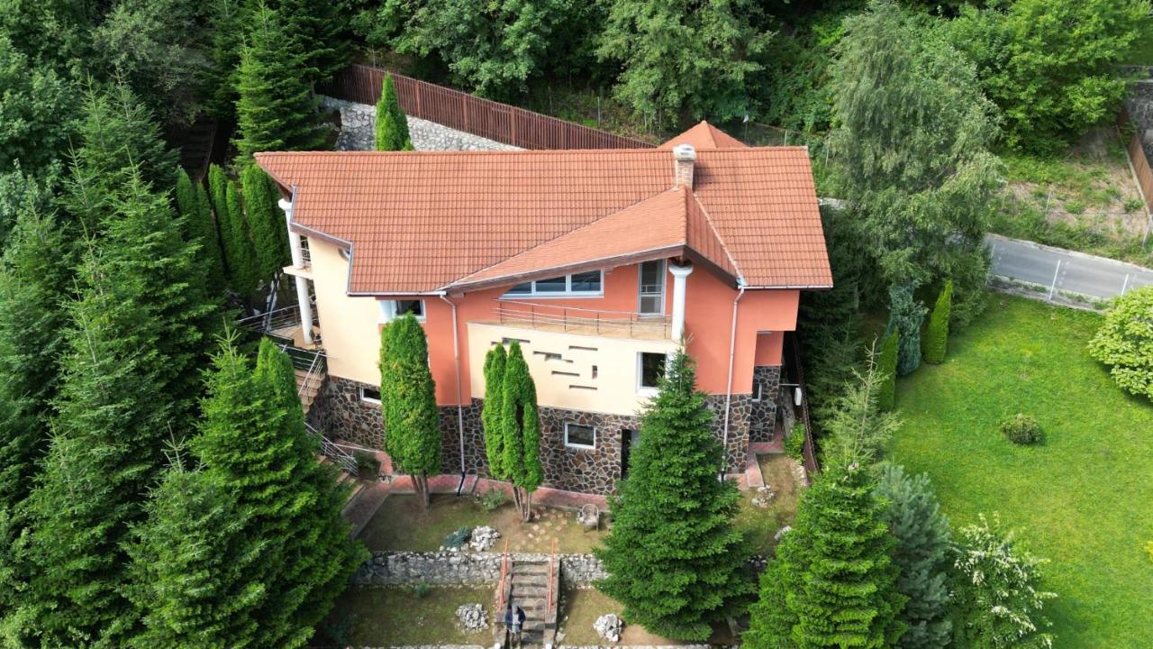 Marble Villa: Luxury Estate - Central But Intimate Sinaia Zewnętrze zdjęcie
